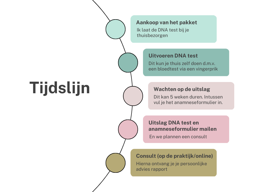 Beige Minimalist Timeline Diagram Graph-2