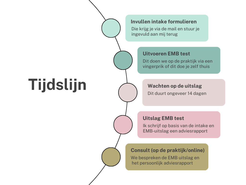 Tijdslijn EMB bloedanalyse Tijdslijn EMB bloedanalyse bij RelaxMom- OrthoFysio Brabant